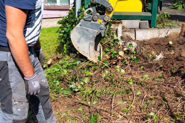 Hedge Removal Service in Milford