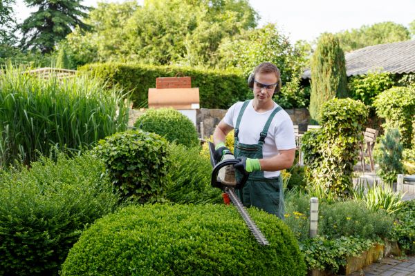 Shrubs Trimming in Milford
