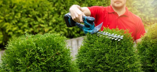 Hedge Shaping Service in Milford