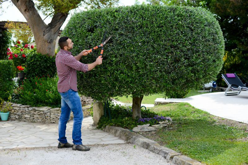 Bush Pruning