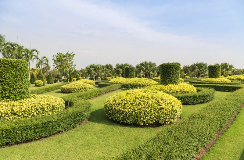 Healthy Trimmed Shrubs