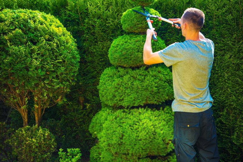Pruning Mature Shrubs