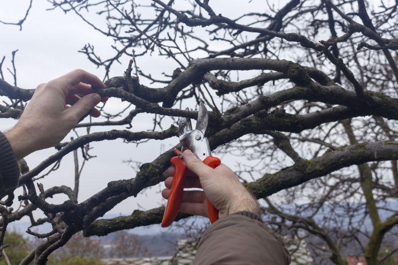 Seasonal Pruning
