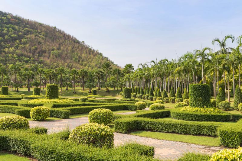 Trimmed Ornamental Shrubs